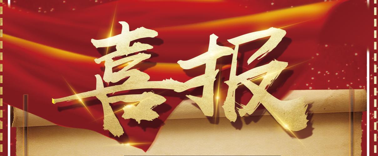 最好的蜘蛛池网站